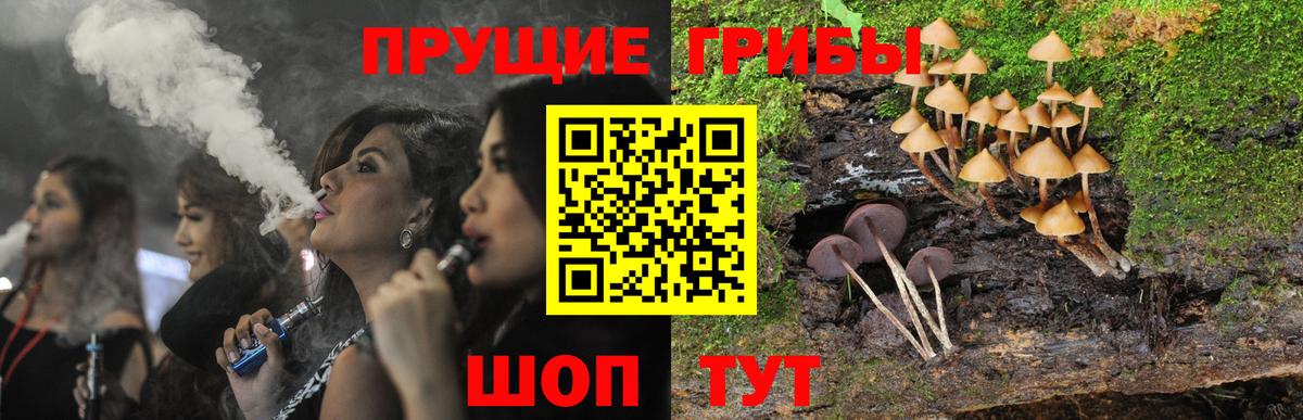 Галлюциногенные грибы Cubensis  Вход с VPN  Видное 