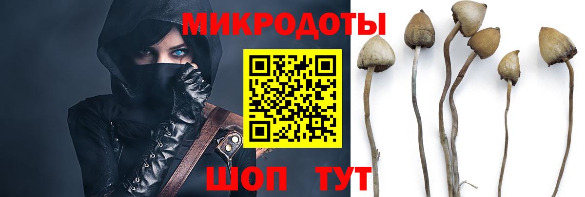Псилоцибиновые грибы ЛСД Видное